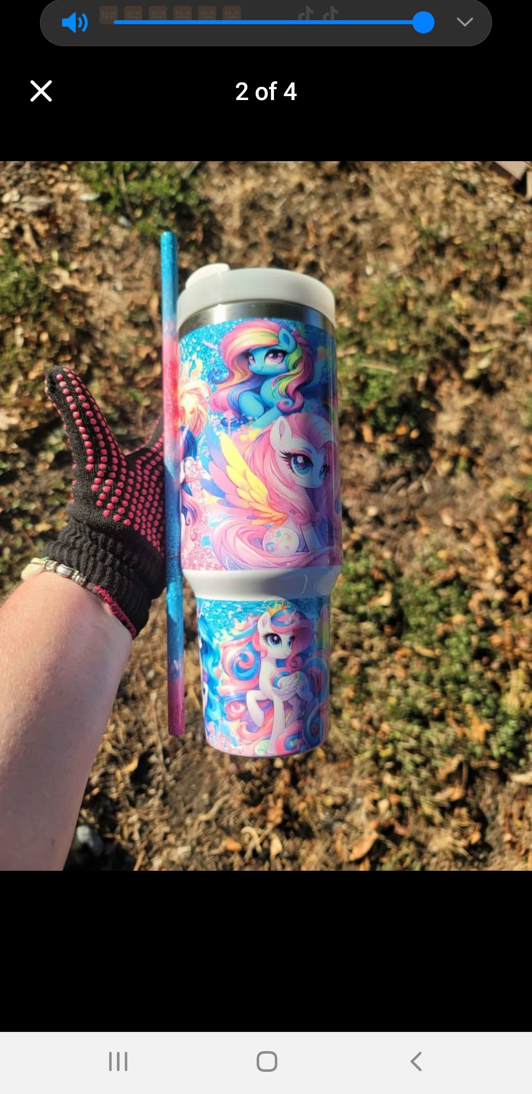 40oz my little pony with matching metal straw dupe